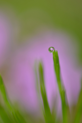 写真：サンプル