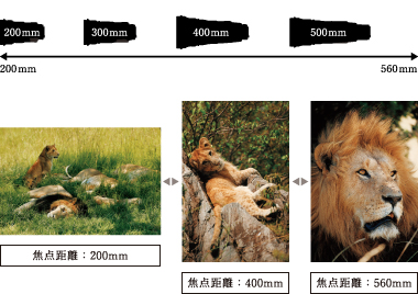 図:焦点距離の比較