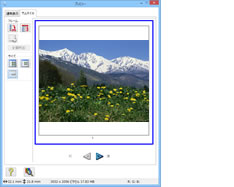 EPSON Scan プレビュー画面