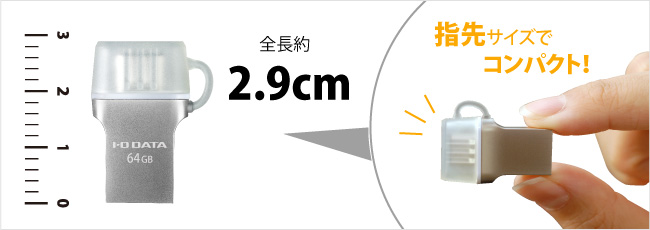 全長約2.9cmのコンパクトサイズ