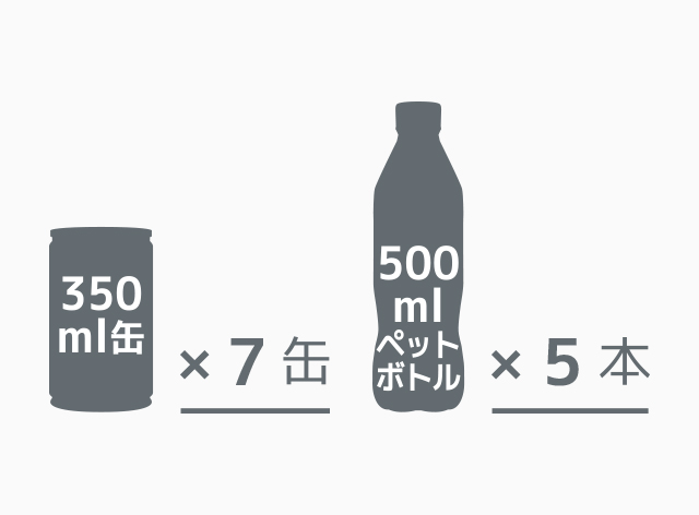 容量は約6Lのトート型