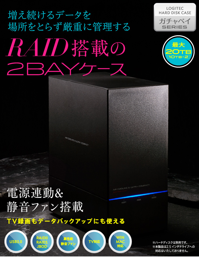 増え続けるデータを場所をとらず厳重に管理するRAID搭載の2BAYケース