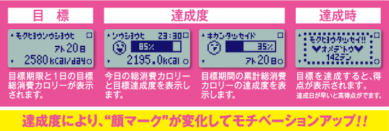 【活動量計（万歩計・歩数計・ダイエット・カロリー）】MY CALORY（マイ カロリー）　MC-700なら１日に『どのくらいカロリーを消費すべき？』がわかる！