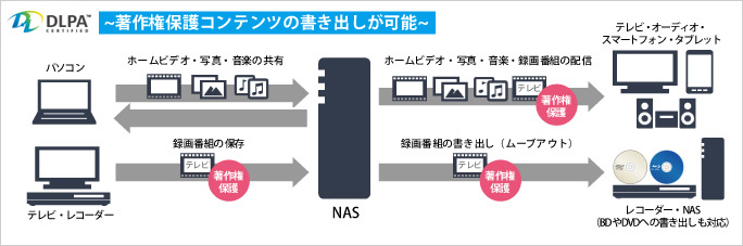 DLPA NAS Level.3