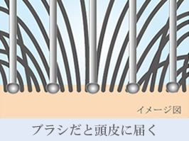 イメージ:Point(1) 頭皮を健やかに保つ