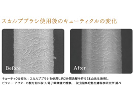 イメージ:Point(6)効率の良いシャンプーで 美しい髪を