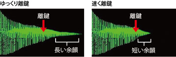 離鍵による「響き」