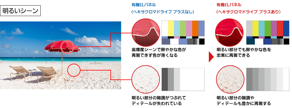 有機ELパネル（ヘキサクロマドライブプラスあり）なら明るい部分の階調やディテールも豊かに再現する