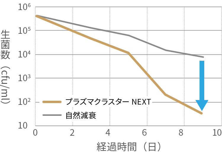 付着ニオイ原因菌
