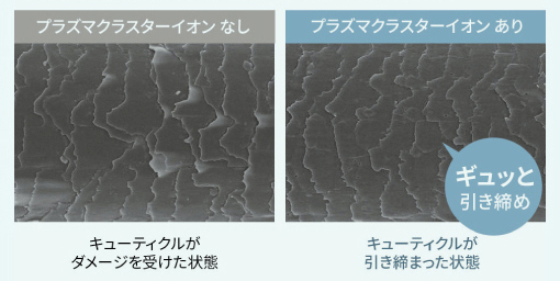 毛髪に冷風を14日間あてた効果図