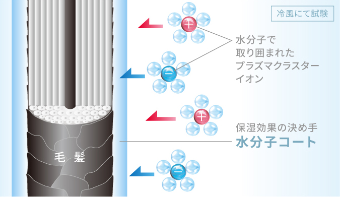 毛髪表面に水分子コートを形成したイメージ