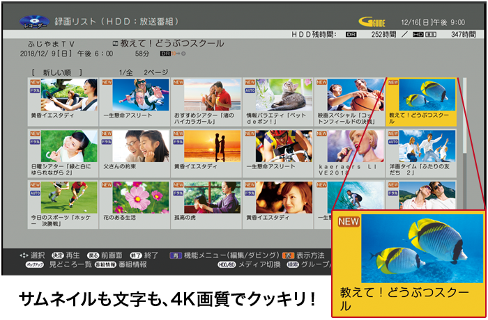 サムネイルも文字も、4K画質でクッキリ！