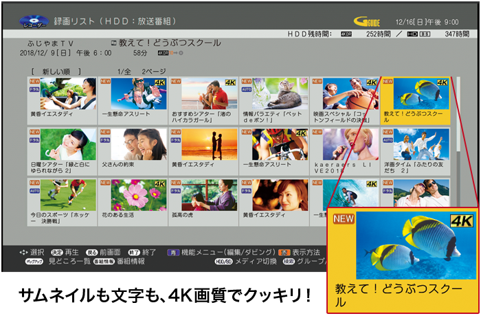 サムネイルも文字も、4K画質でクッキリ!