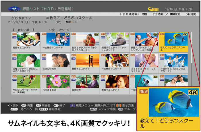サムネイルも文字も、4K画質でクッキリ！