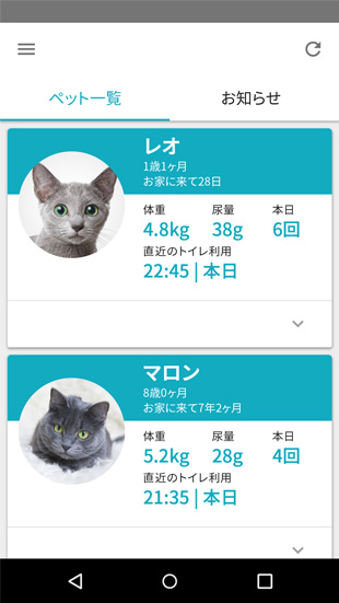 表示：多頭飼い