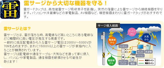 雷サージから大切な機器を守る！