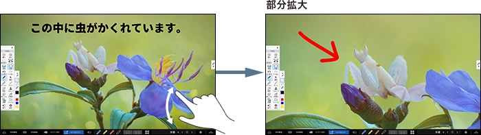 部分拡大のイメージ