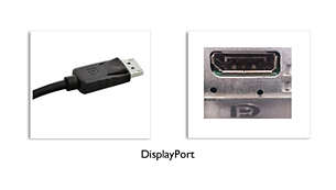 DisplayPort 接続で最高のビジュアルを実現