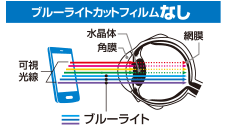 ブルーライトカットフィルムなし