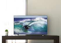 e-TREND｜TVS REGZA 4K REGZA 50C350X [50V型4K・地上・BS・110