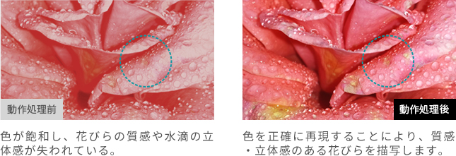 「より幅広い色表現で、さらに自然な色彩を実現」 イメージ