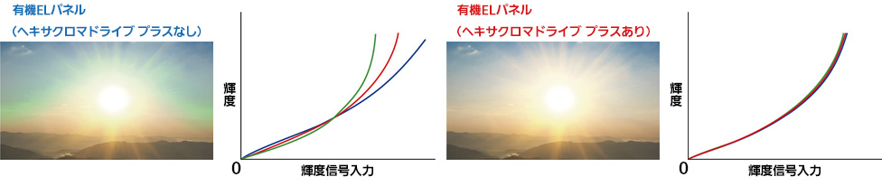 ガンマ調整力