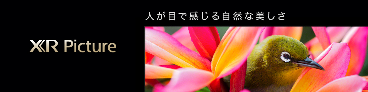 X90J高画質TOP