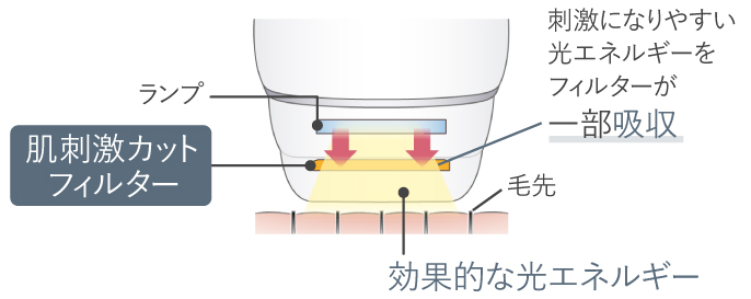 イラスト：肌刺激カットフィルターが刺激になりやすい光エネルギーを一部吸収。効果的な光エネルギーを肌に照射。