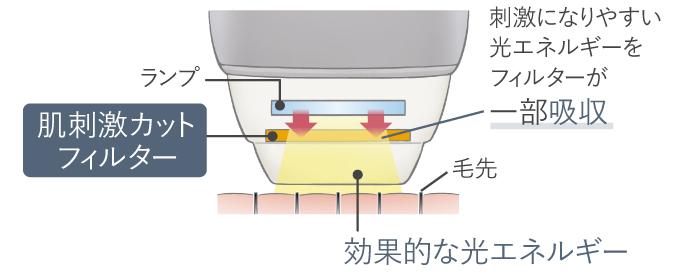 イラスト：肌刺激カットフィルターが刺激になりやすい光エネルギーを一部吸収。効果的な光エネルギーを肌に照射。