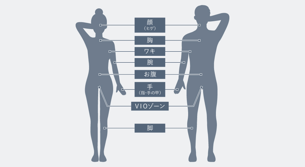 使用できる部位一覧：顔（ヒゲ）,I・Oゾーン,胸,ワキ,腕,お腹,手（指・手の甲）,Vゾーン,脚