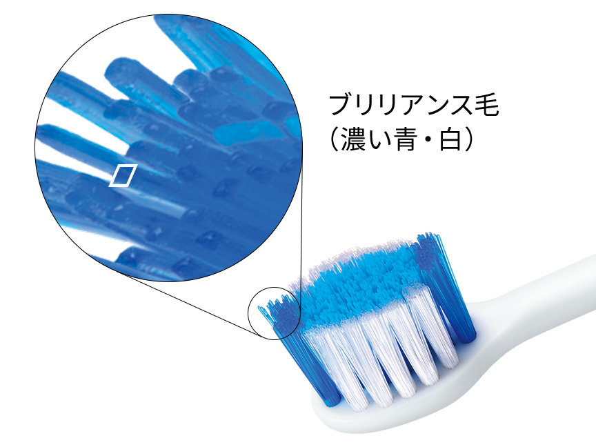 ブリリアンス毛(濃い青・白)