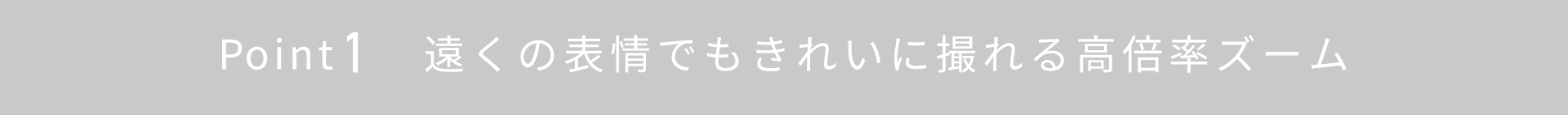 Point1 遠くの表情でもきれいに撮れる高倍率ズーム