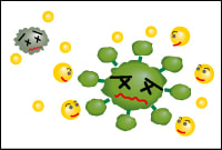 ウイルスを抑制。