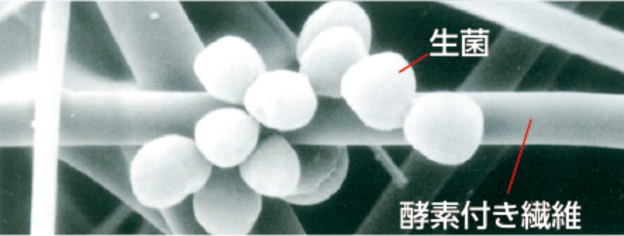 酵素付き繊維で細菌を分解