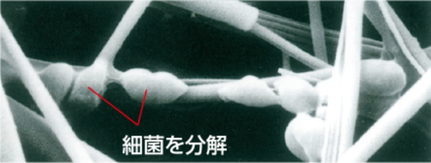酵素付き繊維で細菌を分解