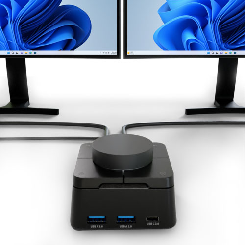 最大2画面の4K映像出力