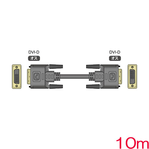 DVIP-DVIP10m_画像0