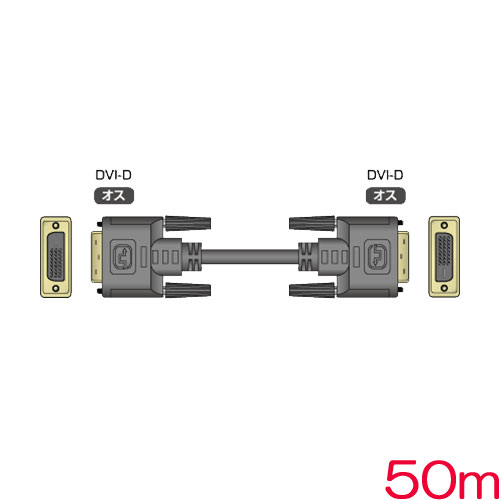 DVIP-DVIP50m_画像0