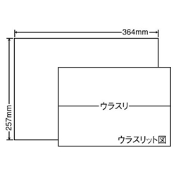 E1Z_画像0