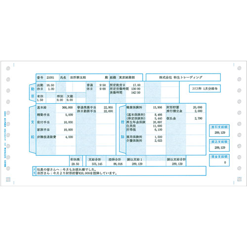 弥生 サプライ 336002 [給与明細書(連続用紙)]