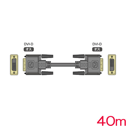 DVIP-DVIP40m_画像0