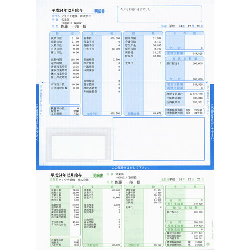 ソリマチ SR232 [給与・賞与明細書(封筒型・シール付き) 200枚]