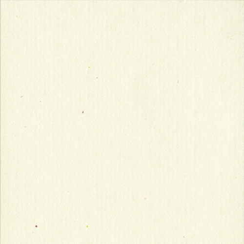 JP-MTRT08_画像5