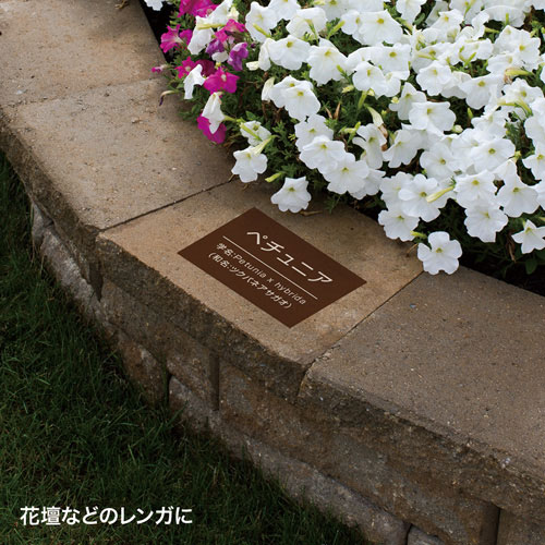 LB-ELM07_画像4