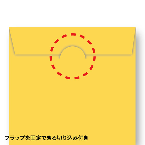 FCD-PS100MXN_画像4