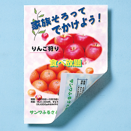 JP-ERV5NA4_画像1