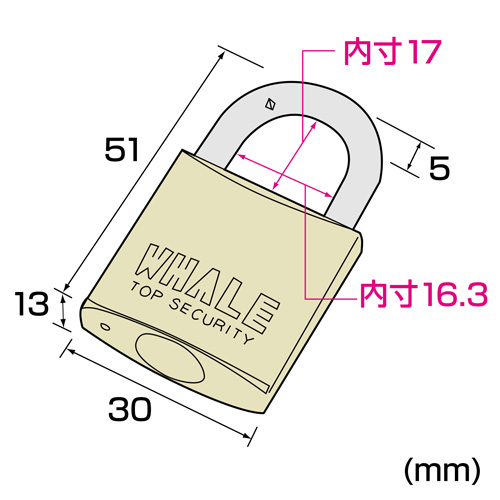 SLE-1L-1N_画像3