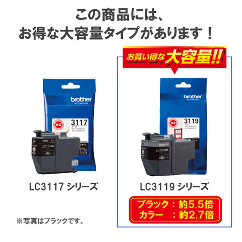 LC3117BK_画像3