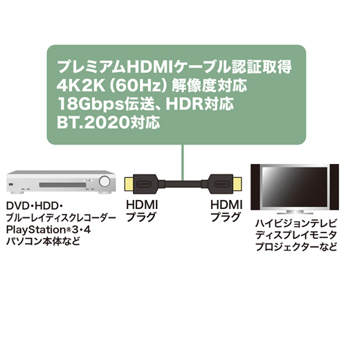 KM-HD20-P10_画像1