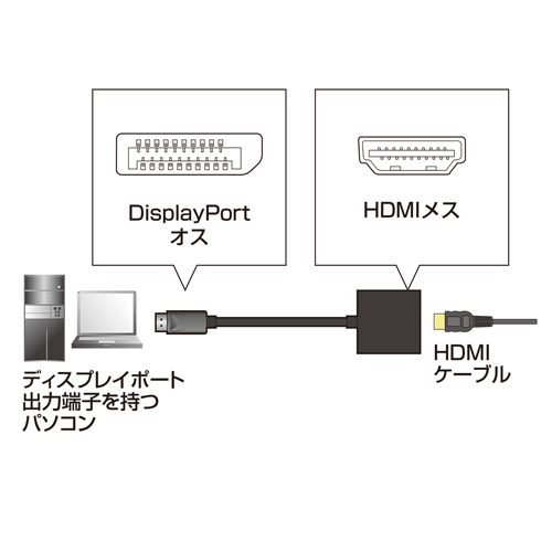 AD-DPPHD01_画像2